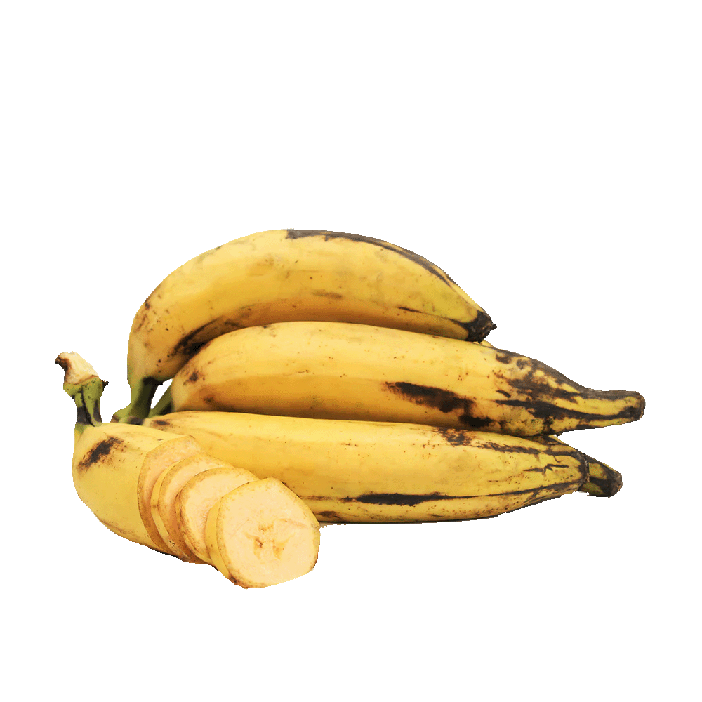 Frische reife Kochbananen